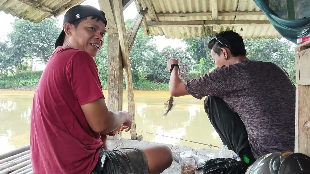 REKOMENDASI NGONTREK SANGKAL IKAN NILA