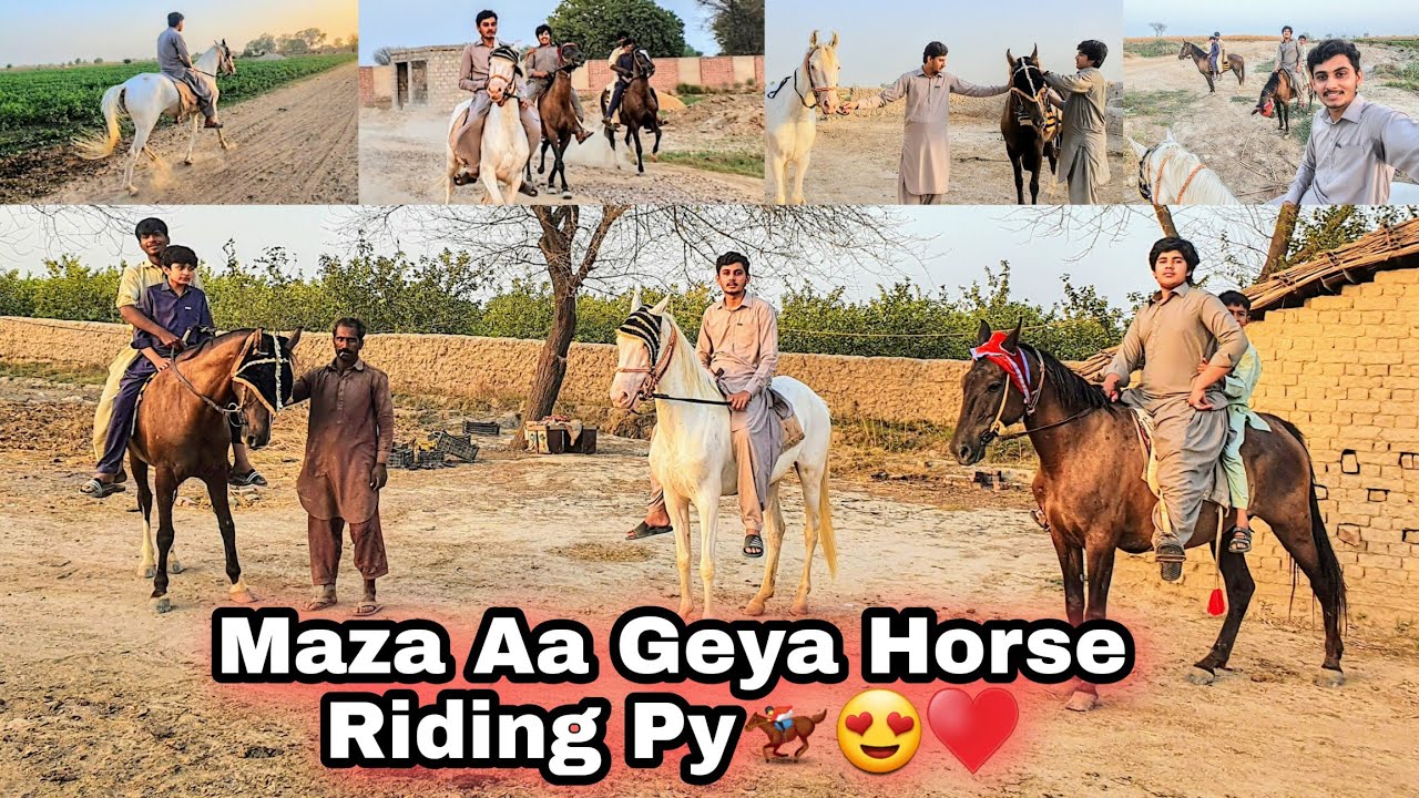 Finally Horse Riding Vlog 🐎😍 || Buhat Maza Aya Ghord Sawari Ka 🥰♥️