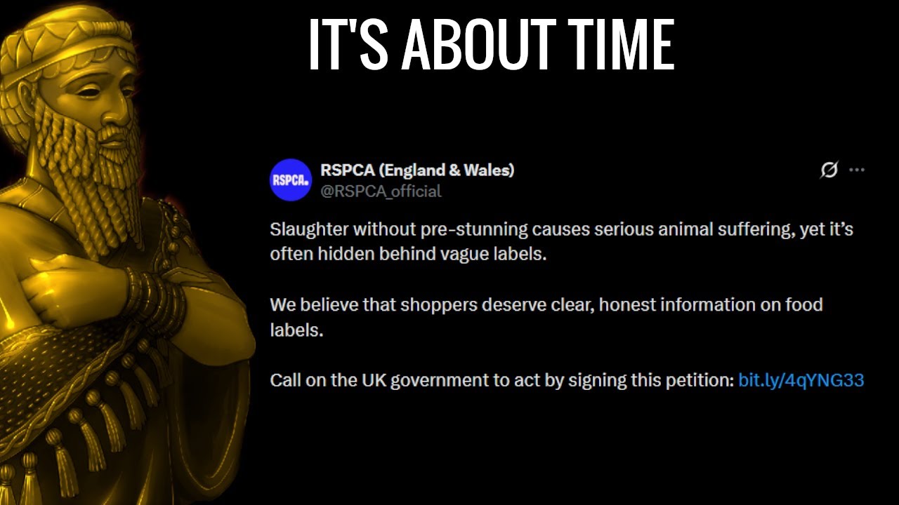 Общество защиты животных RSPCA присоединяется к борьбе