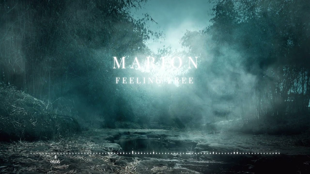 MARION - Feeling Free | ChillStep