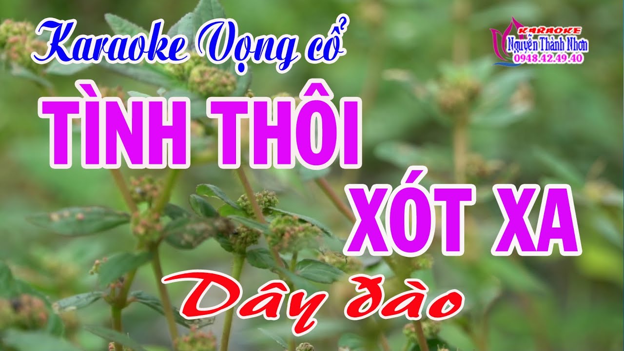 Karaoke vọng cổ TÌNH THÔI XÓT XA - DÂY ĐÀO