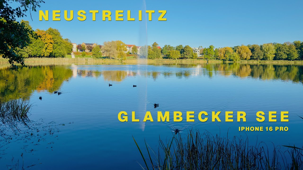 Ab in die Natur - Spaziergang am Glambecker See in Neustrelitz