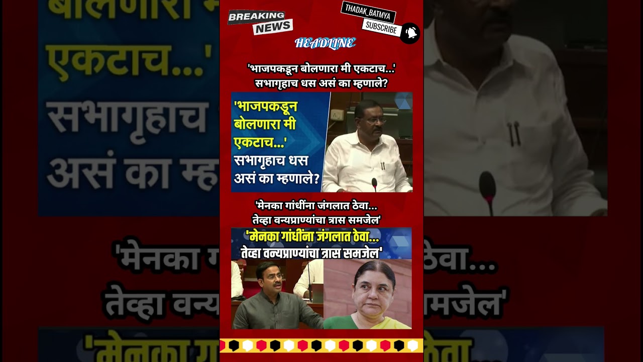 Rajthackeray UddhavThackeray Devendra Fadanvis BJP #mns#ncp#news#jarangepatil Eknathshinde Ajitpawar