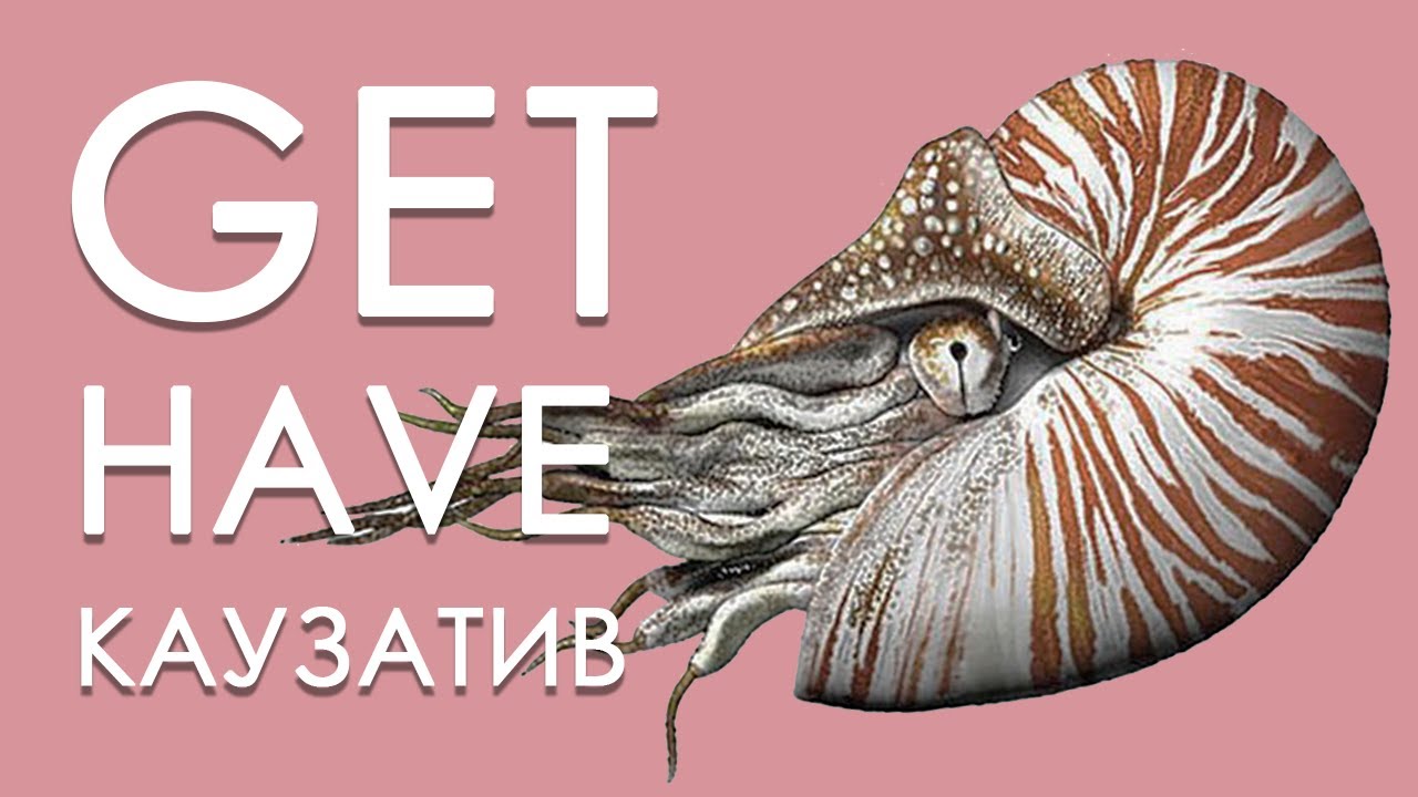 Глаголы GET, HAVE и КАУЗАТИВНАЯ форма простыми словами | Примеры | Английский для взрослых (9/9)