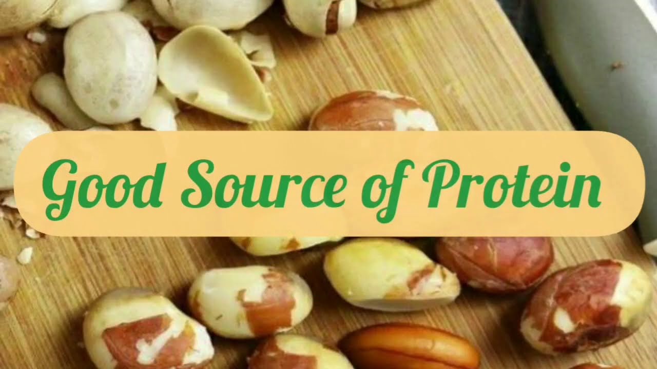 Nutritional Value of Jackfruit Seed ➡️ Cheap Vegan Protein Food | Indian Superfood