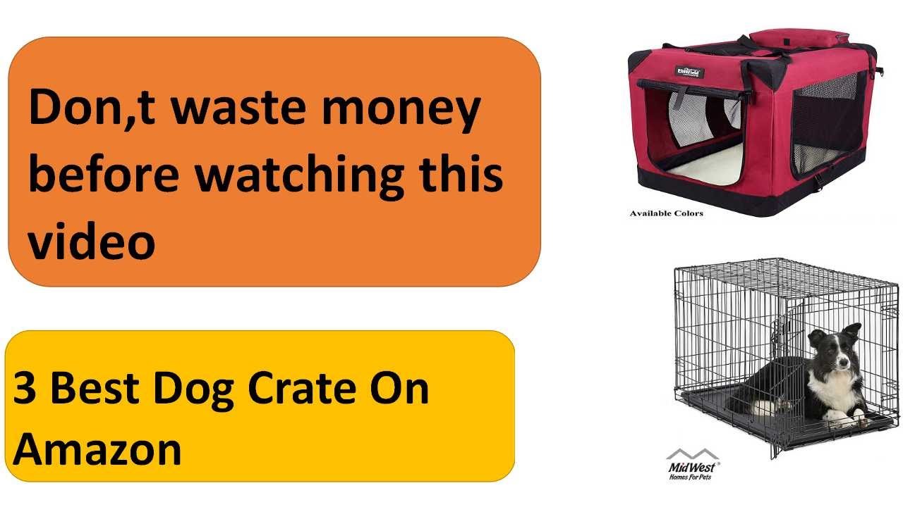 Best Dog Crate For Large Dogs 2024