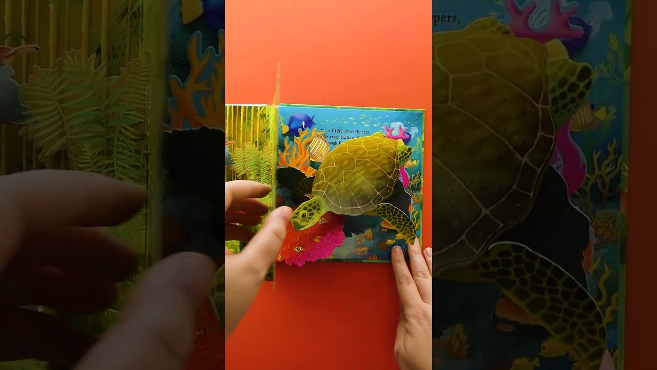 Usborne Pop-up Books | Pop-up Animals 🐼