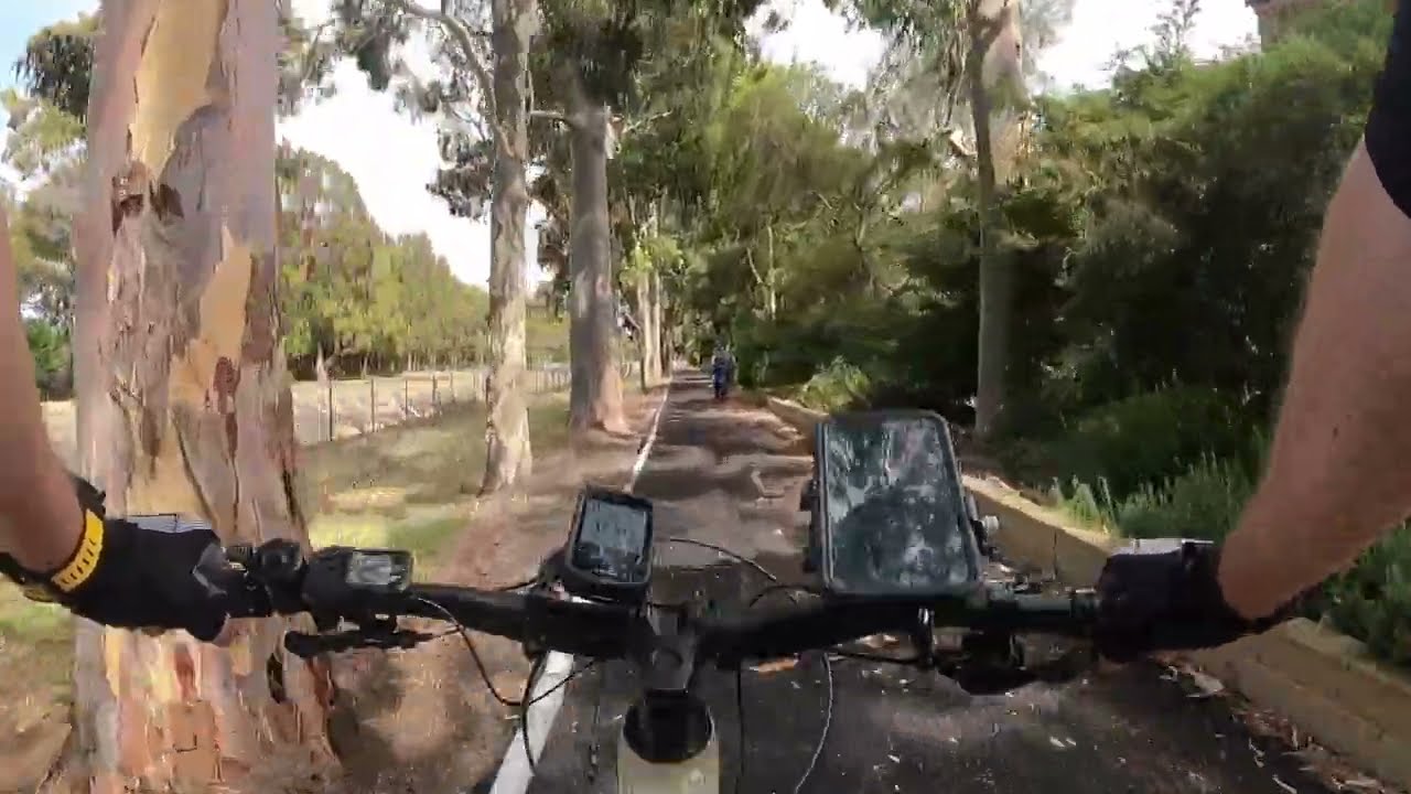 Sturt River Bikeway | Cycle Adelaide South Australia | Adelaide's Most Scenic Bike Ride