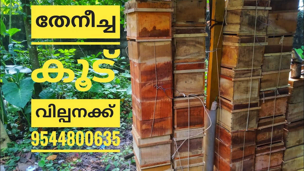 Theneechakrishi. തേനീച്ച പെട്ടി വില്പനക്ക് Beekeepping