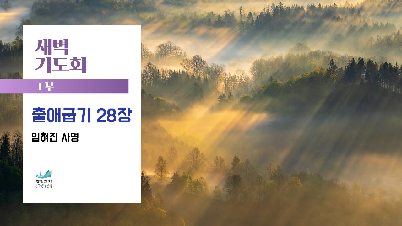 [새벽기도회] 입혀진 사명 출애굽기 28장 정용식 목사 2026.2.6