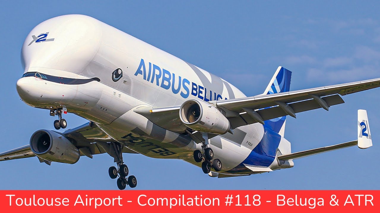 TOULOUSE Blagnac Airport, Plane Spotting : Beluga & ATR only, Compilation #118  (2024)