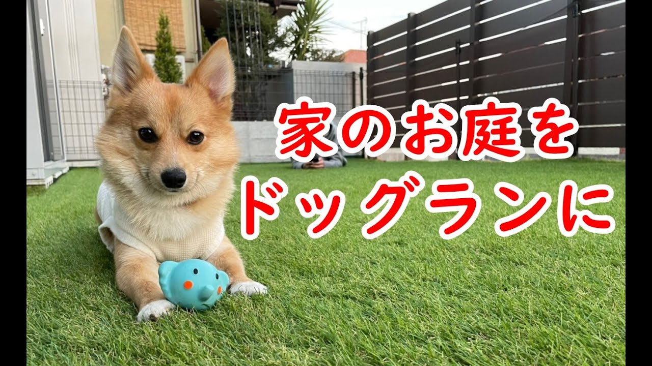 【DIY】お庭ドッグラン計画を実行しました！