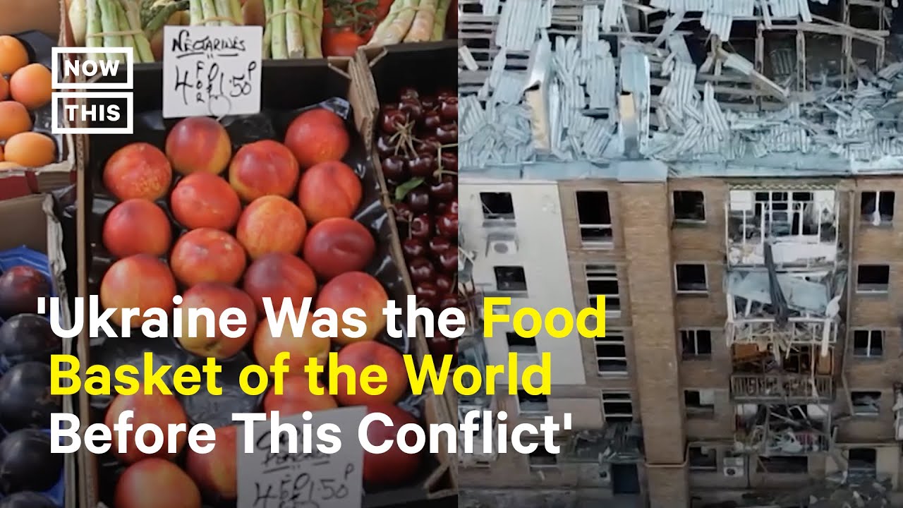 How Conflict Causes Food Insecurity