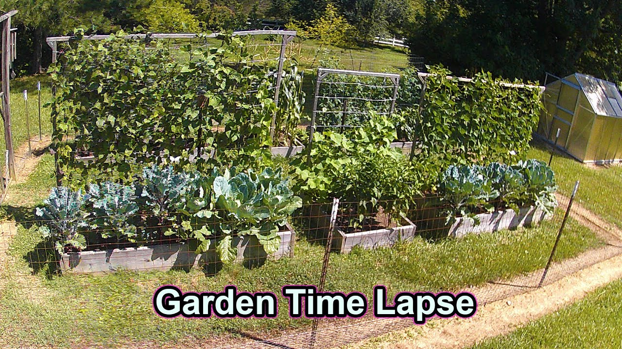 Full Year TIME LAPSE of Vegetable Garden