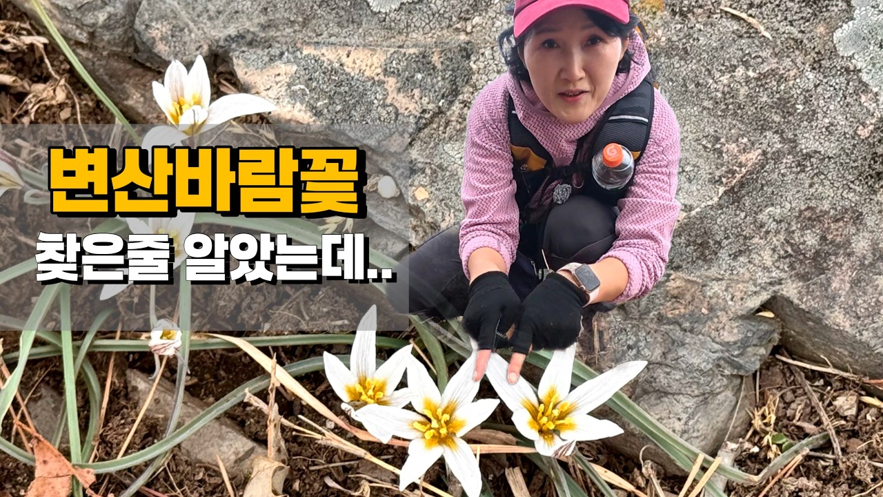 유네스코 절경 코스🔥 변산반도 내변산 숨겨진 명품 등산코스