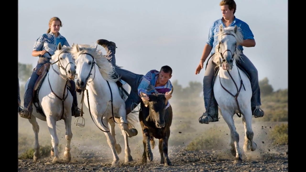 Domaine Paul Ricard à Méjanes - un lieu unique au coeur de la Camargue