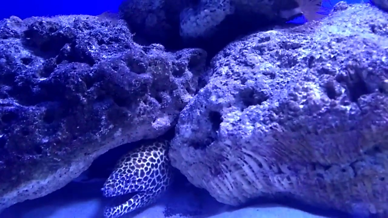 VID 20170508 172202