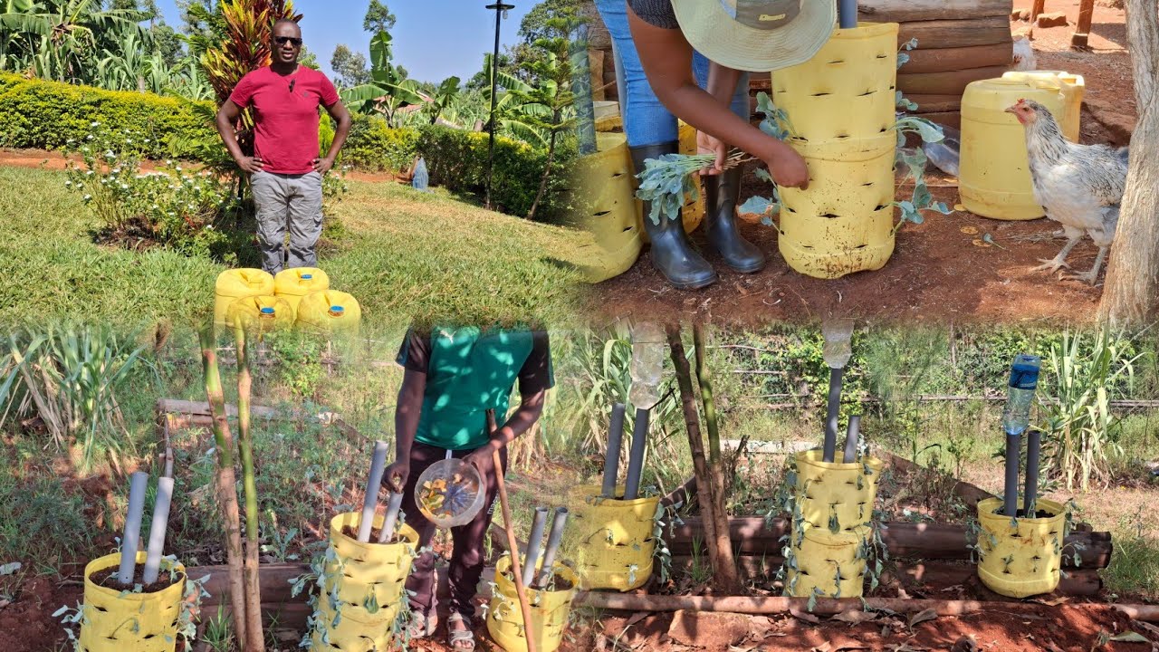 Simple DIY vertical garden that can feed your family fresh organic vegetables through out year