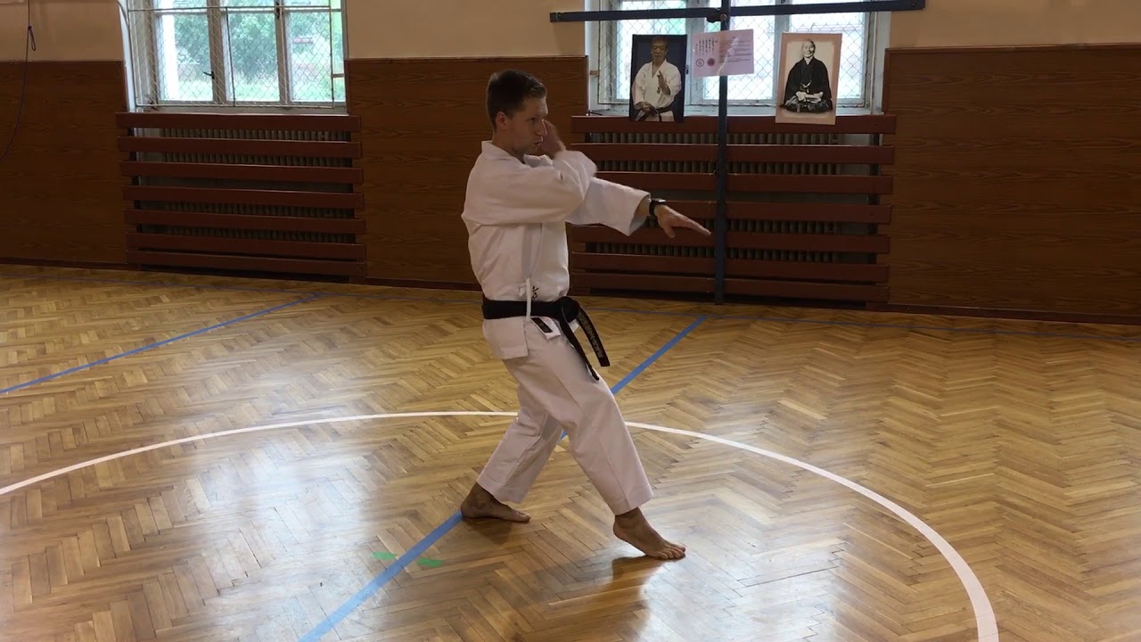 Tate shuto uke nácvik