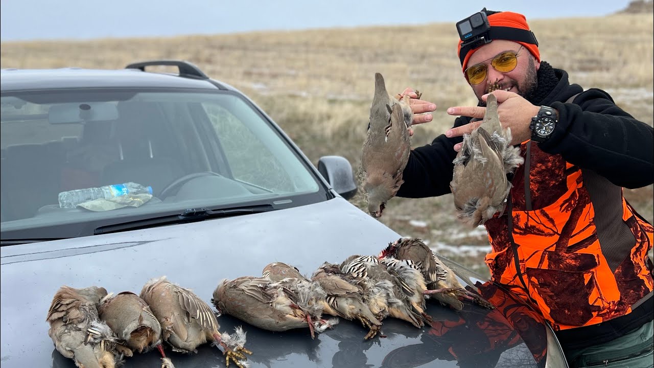 Keklik Tavşan Avı 2023 Partridge Hunt صيد الحجل Kyn&iacute;gi P&eacute;rdikas Rebhuhnjagd Okhota na kuropatku