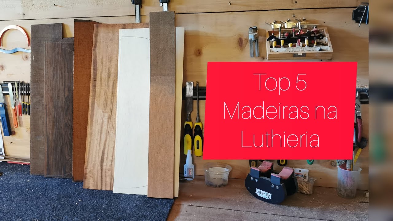 Top 5 madeiras nacionais mais utilizadas na luthieria