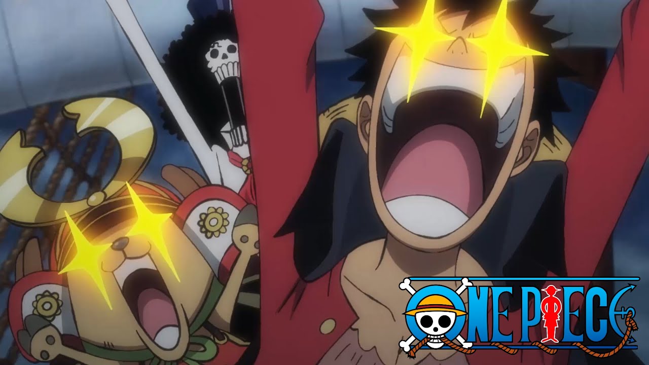 Nouveau membre d'équipage | One Piece