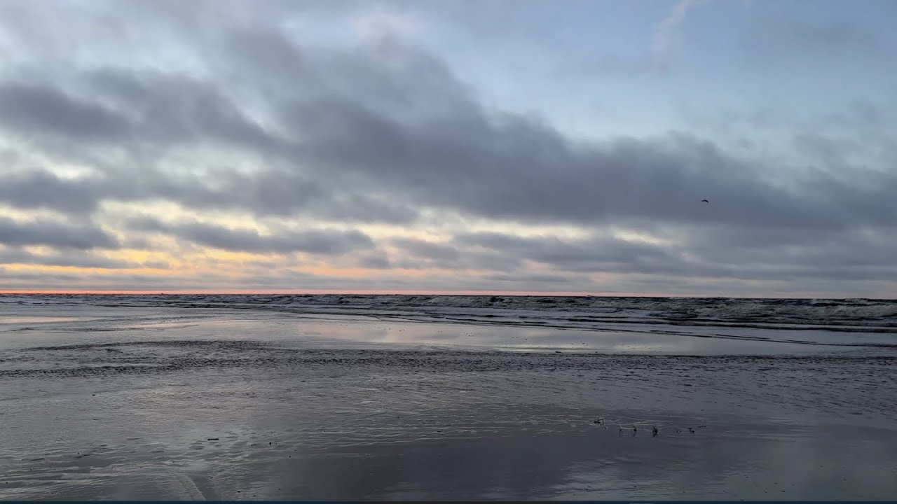 LIVE: Crimson Winter Ocean 🌅 12-Hour Cold Beach Waves for Deep Sleep & Focus (4K)