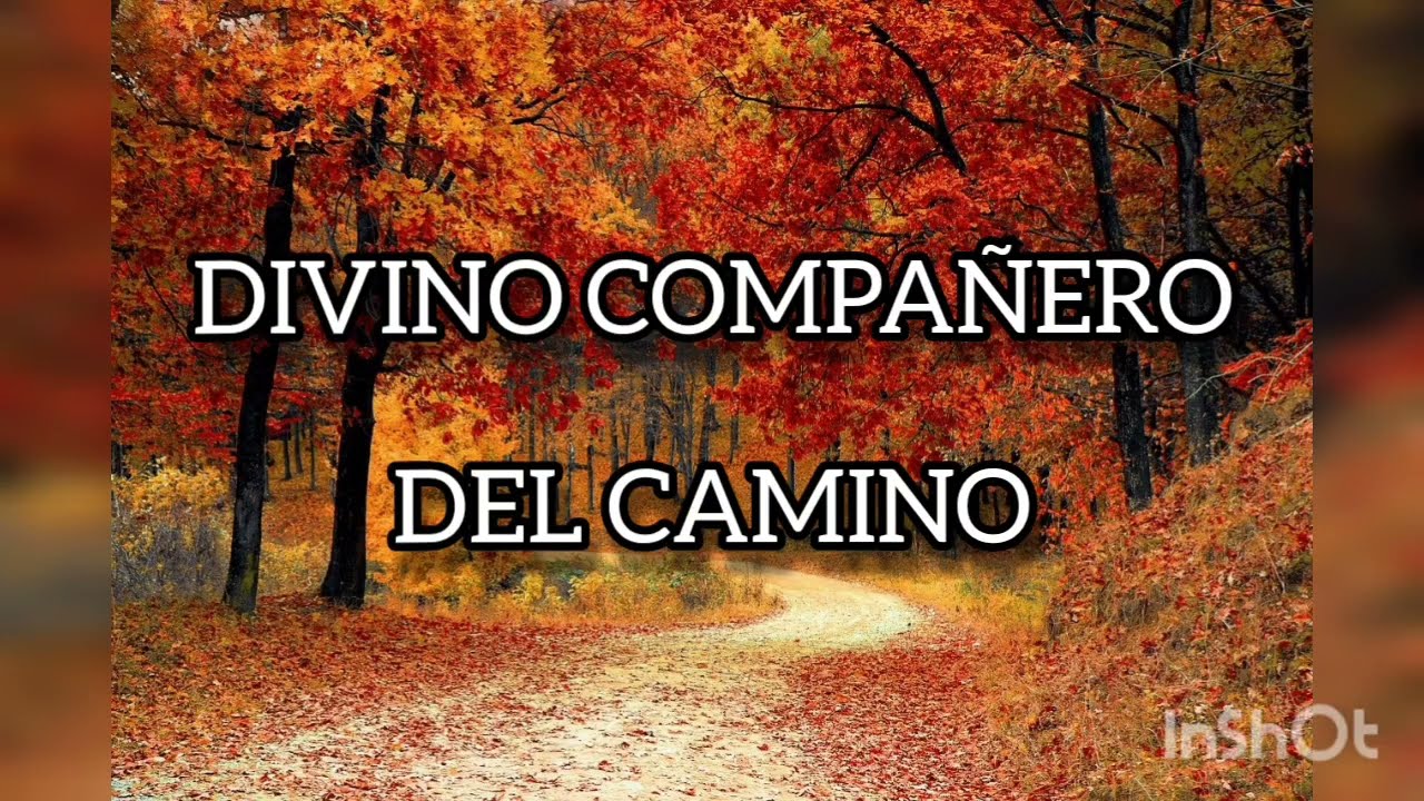 DIVINO COMPAÑERO DEL CAMINO (himno) ••PISTA•• karaoke. bolero acústico, trio.
