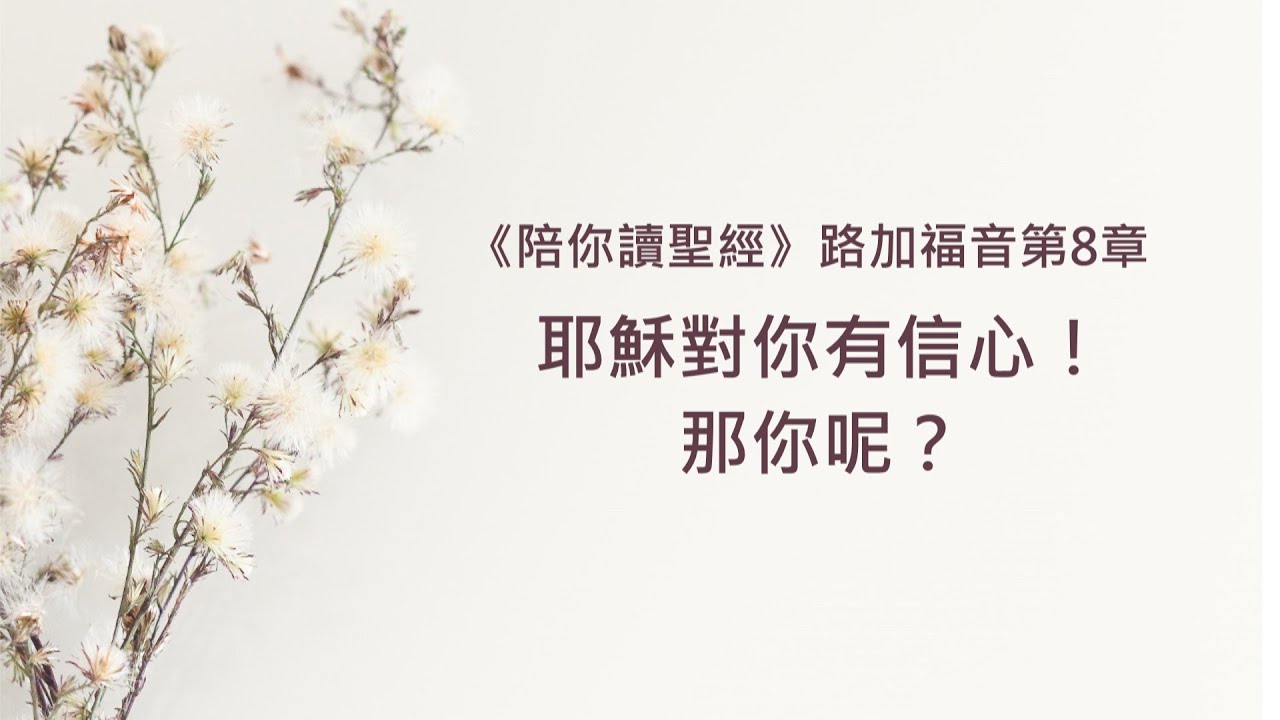 路加福音8章/陪你讀聖經《耶穌對你有信心！那你呢？》
