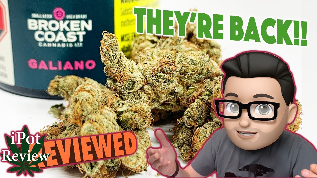 GALIANO!! by Broken Coast Reviewed