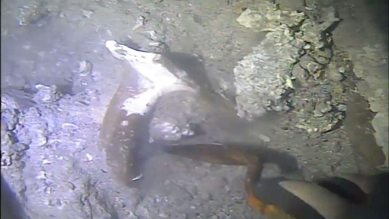 Stas Liguria scavo subacqueo relitto romano a Portofino -55mt
