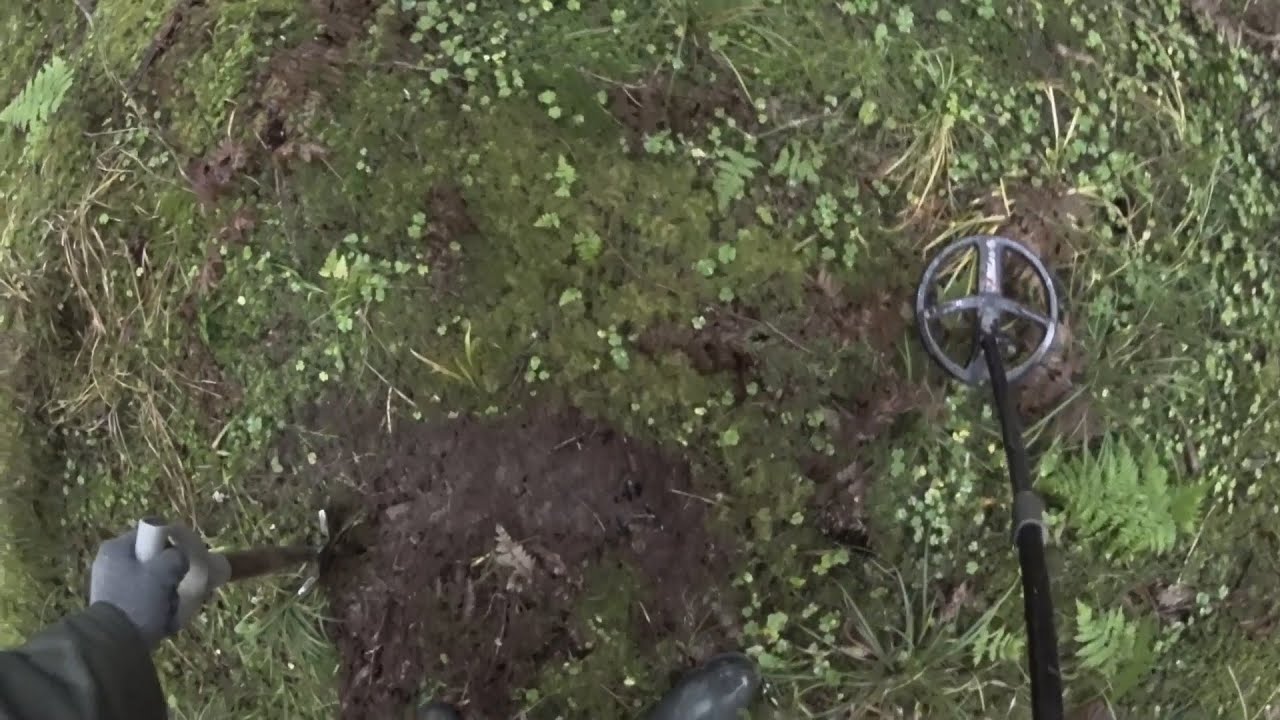 Сказ о том, как я в лес за монеткой ходил...😁