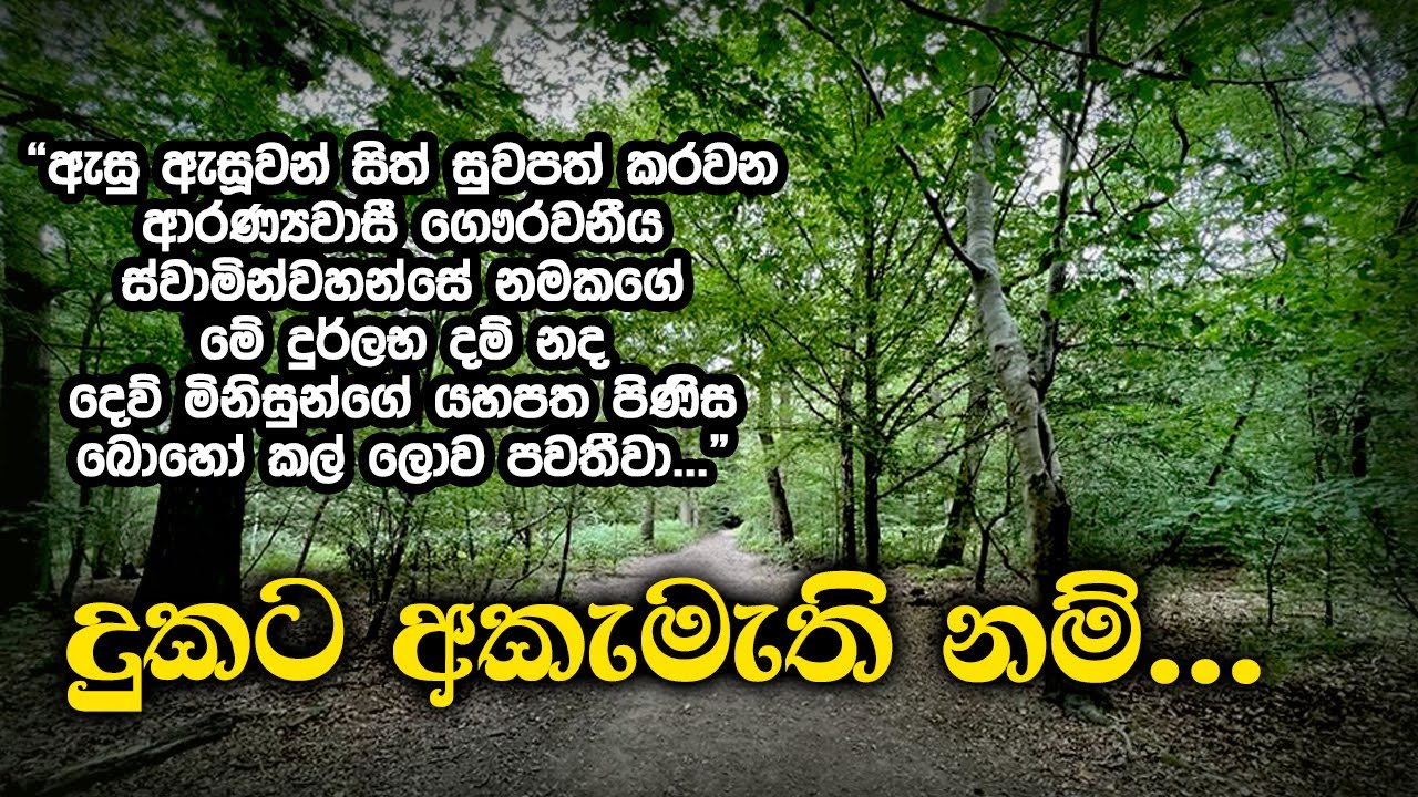 දුකට අකැමැති නම්... | Samma Ditthi UK