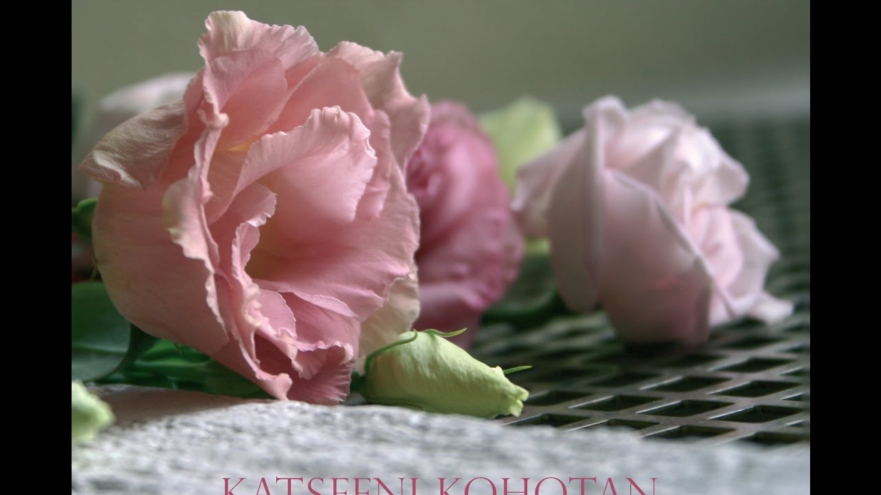KATSEENI KOHOTAN - Henna-Mari Sivula, Emilia Soranta