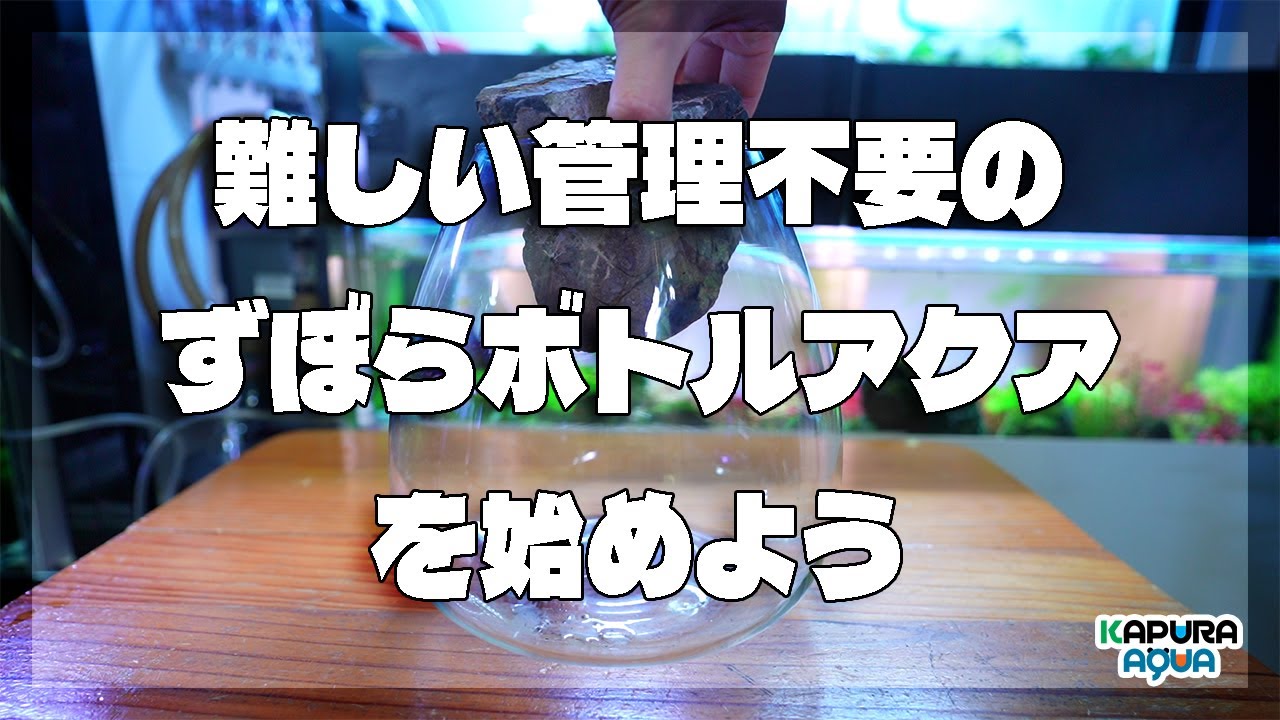 アクアリウム メンテナンス不要？を実現する為の機材集め！！ボトルアクアリムを楽して維持する！【ボトルアクア 立ち上げ】