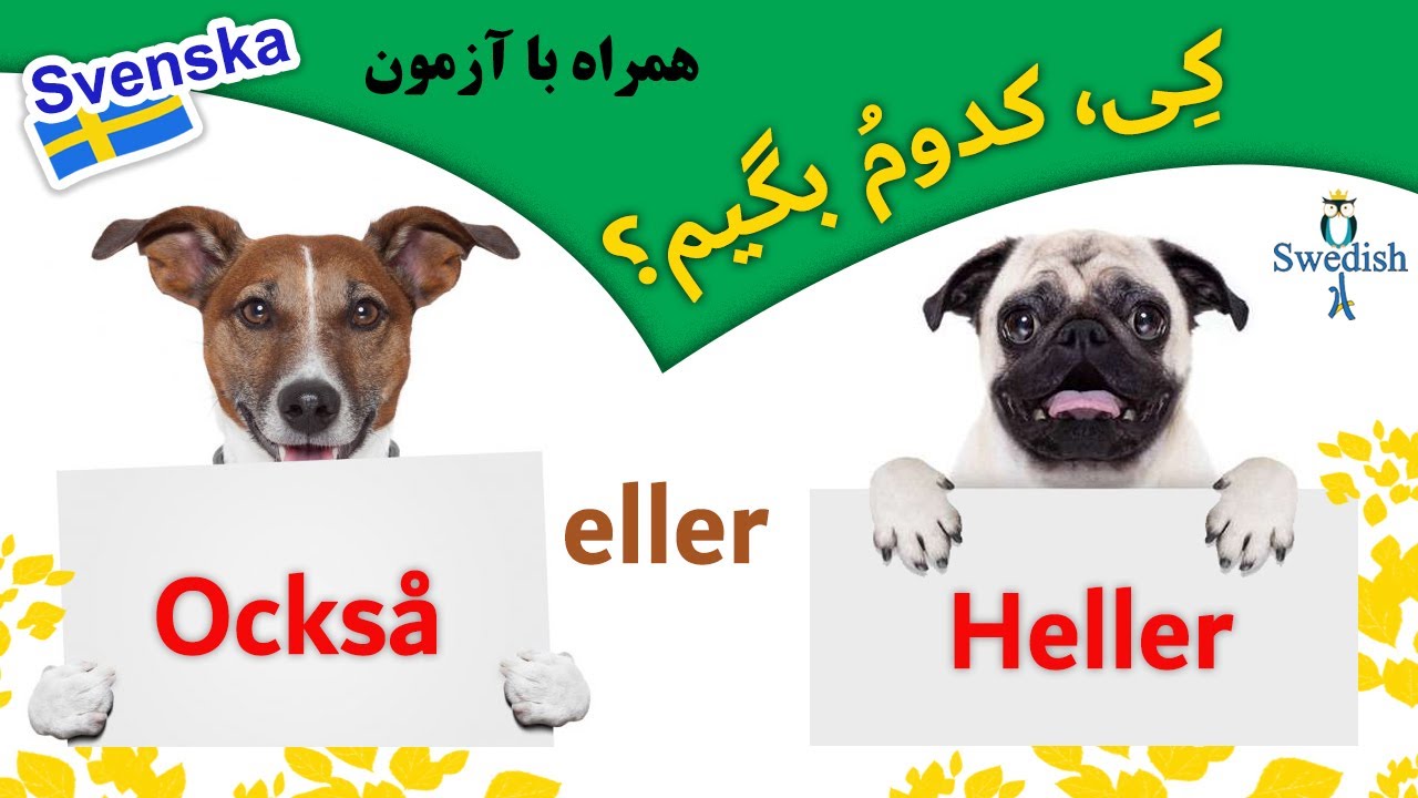 Också eller heller / Skillnaden mellan också och heller / گرامر بسیار مهم و پرکاربرد سوئدی