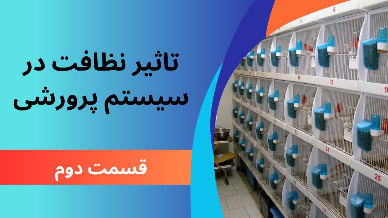 نظافت محیط پرورش: قسمت دوم