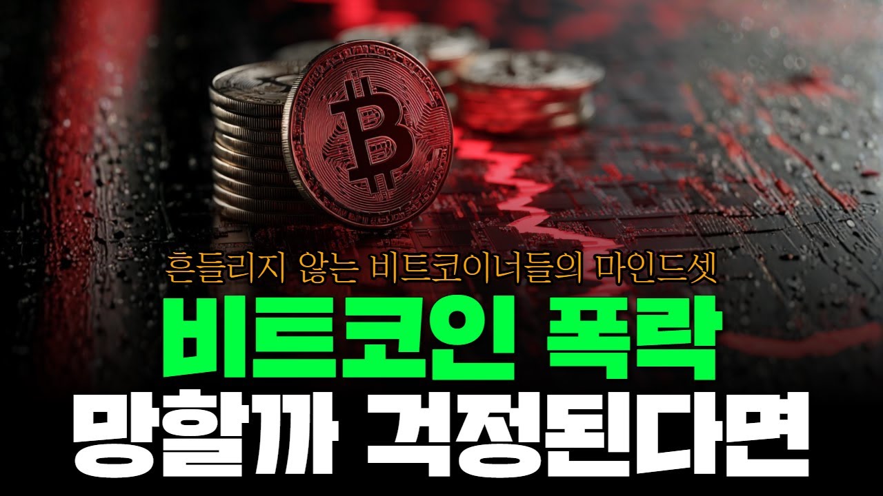 비트코인 망할까봐 걱정하는 사람들은 이 영상 꼭 보세요 (30분 몰아보기)