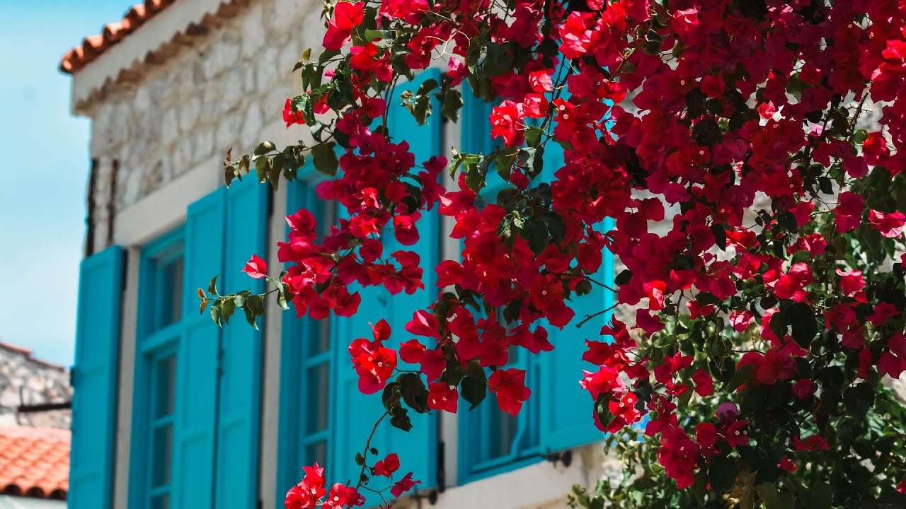 Casa Alegre Hotel Alaçatı | Cesme, Turkey | Hotel Review 🛏️