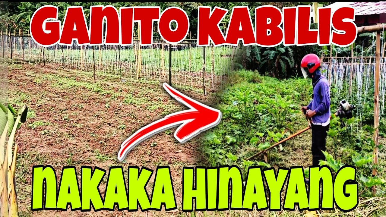 Kita na Sana, Ganito Nangyari|Buhay sa Bukid