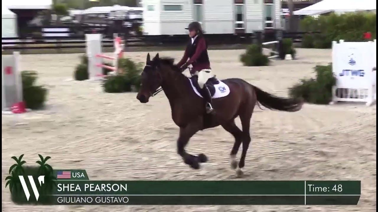 Shea Pearson and Giuliano Gustavo, 1.10 training, clear with 1 on time. 