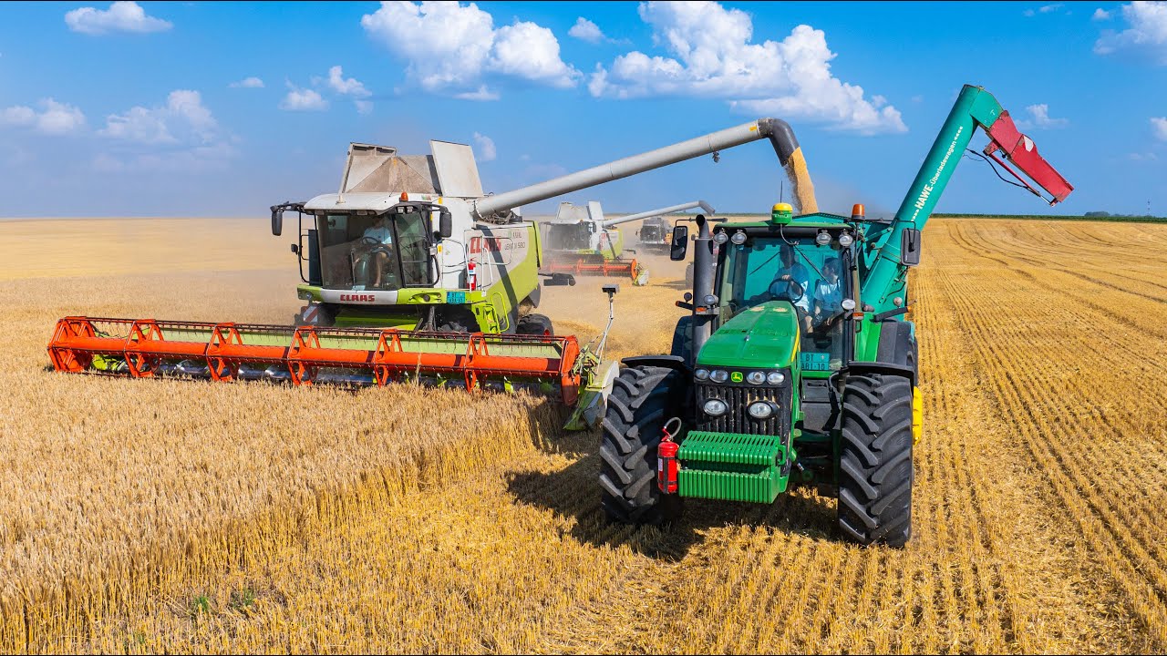 Árpa aratás 2024 | 2x Claas Lexion 580 + Sampo | 5x szállító JD 8530 + Hawe + Case IH + Zmaj