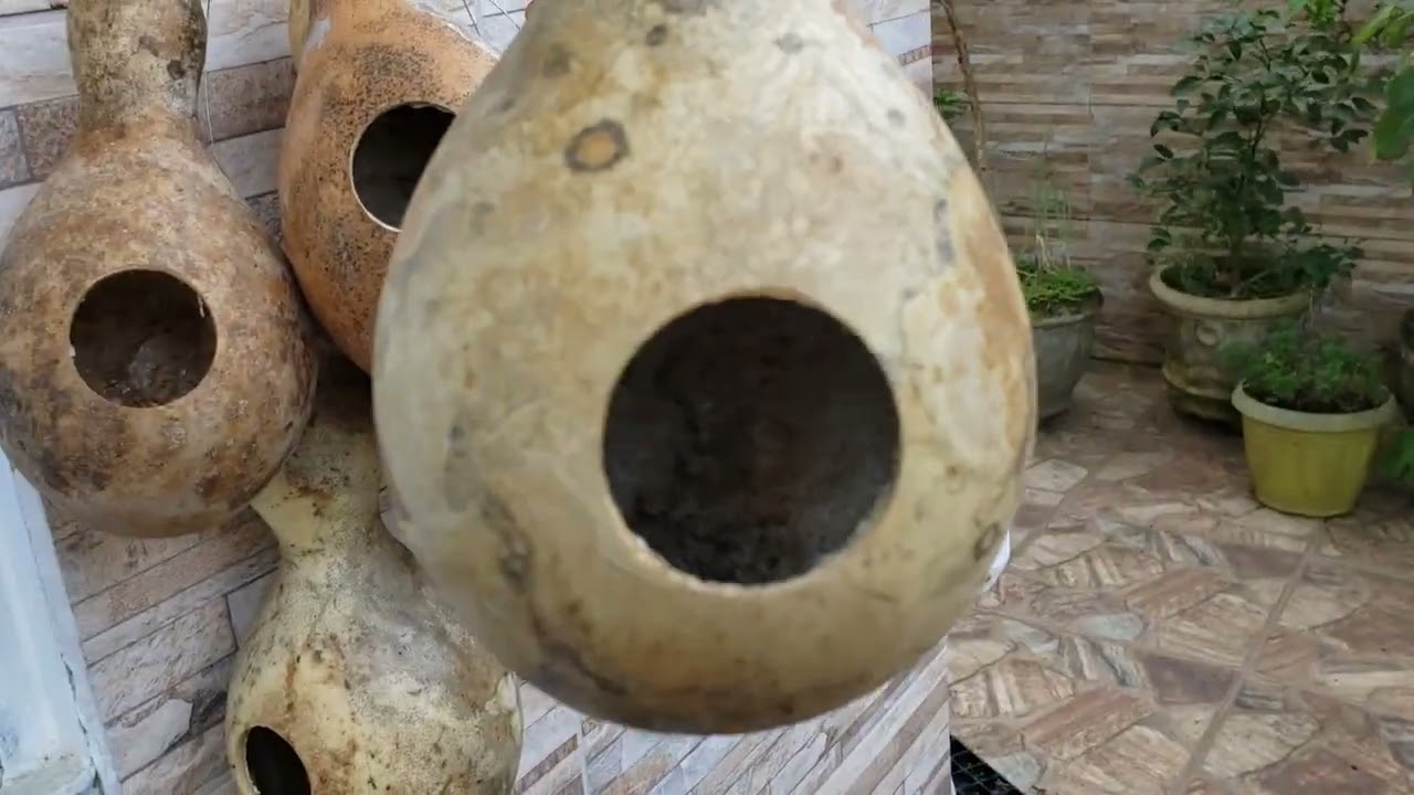ARTESANATO COM CABAÇA - NINHO DE PASSARINHO - VÍDEO(3)