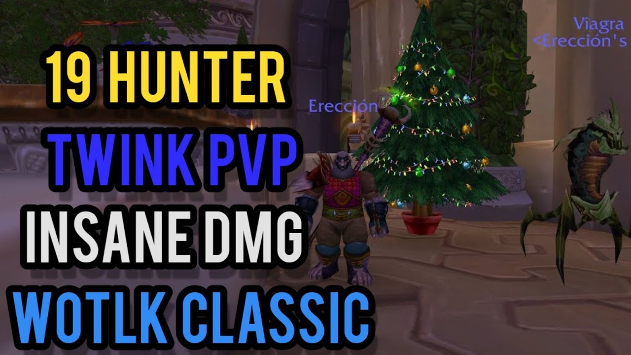Erección - Level 19 Hunter Twink PvP - Wotlk Classic