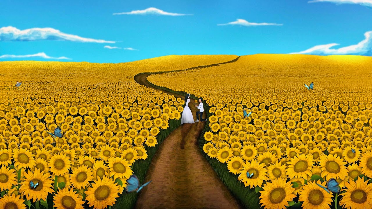 ISLANDBOII - Sunflower ft. Masketeer , 2K