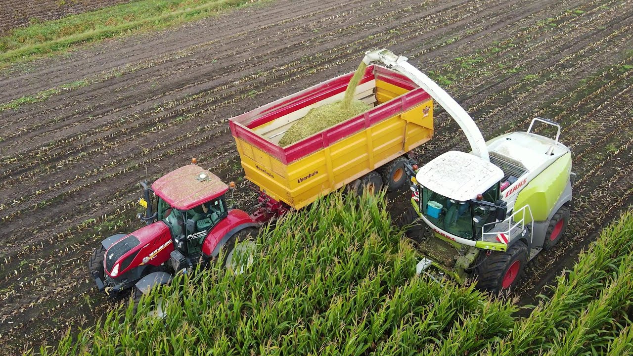 Mais hakselen 2021 | Chopping maize | Maish&auml;ckseln | Claas | Case IH | New Holland | Maisoogst XL