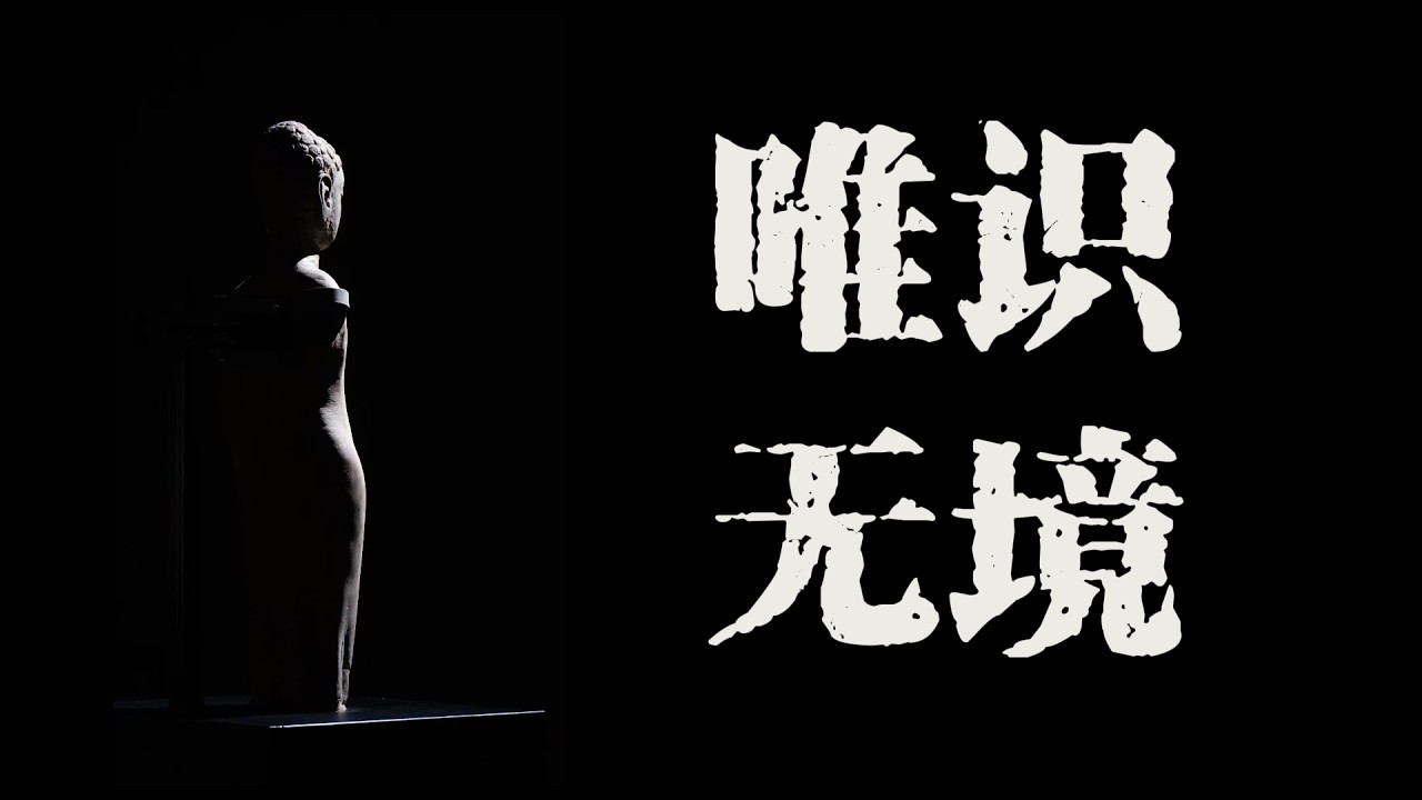 22.第八識如何內變根身|阿賴耶識|八支瑜伽|世親菩薩|無著菩薩|彌勒菩薩|唯識|根深|八識|析空|體空|我執|《佛學通識》P22
