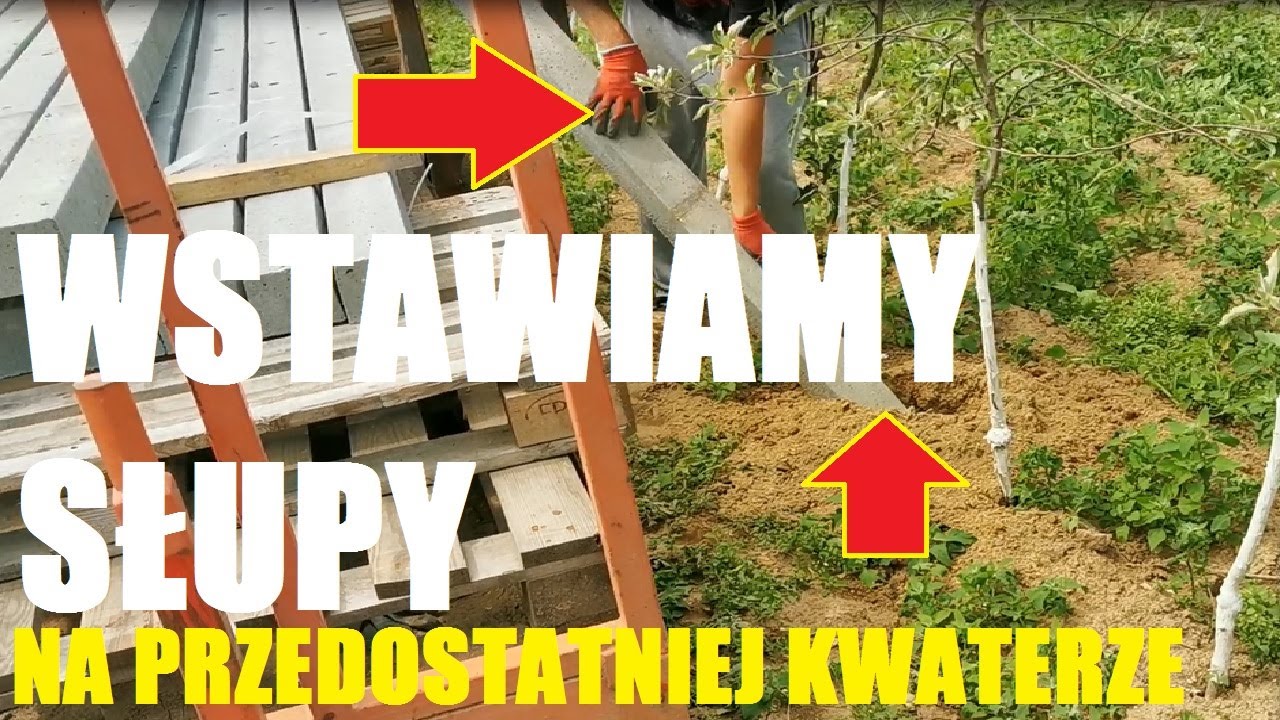 Sadowniczy Vlog #62/Wstawianie słupów w sadzie