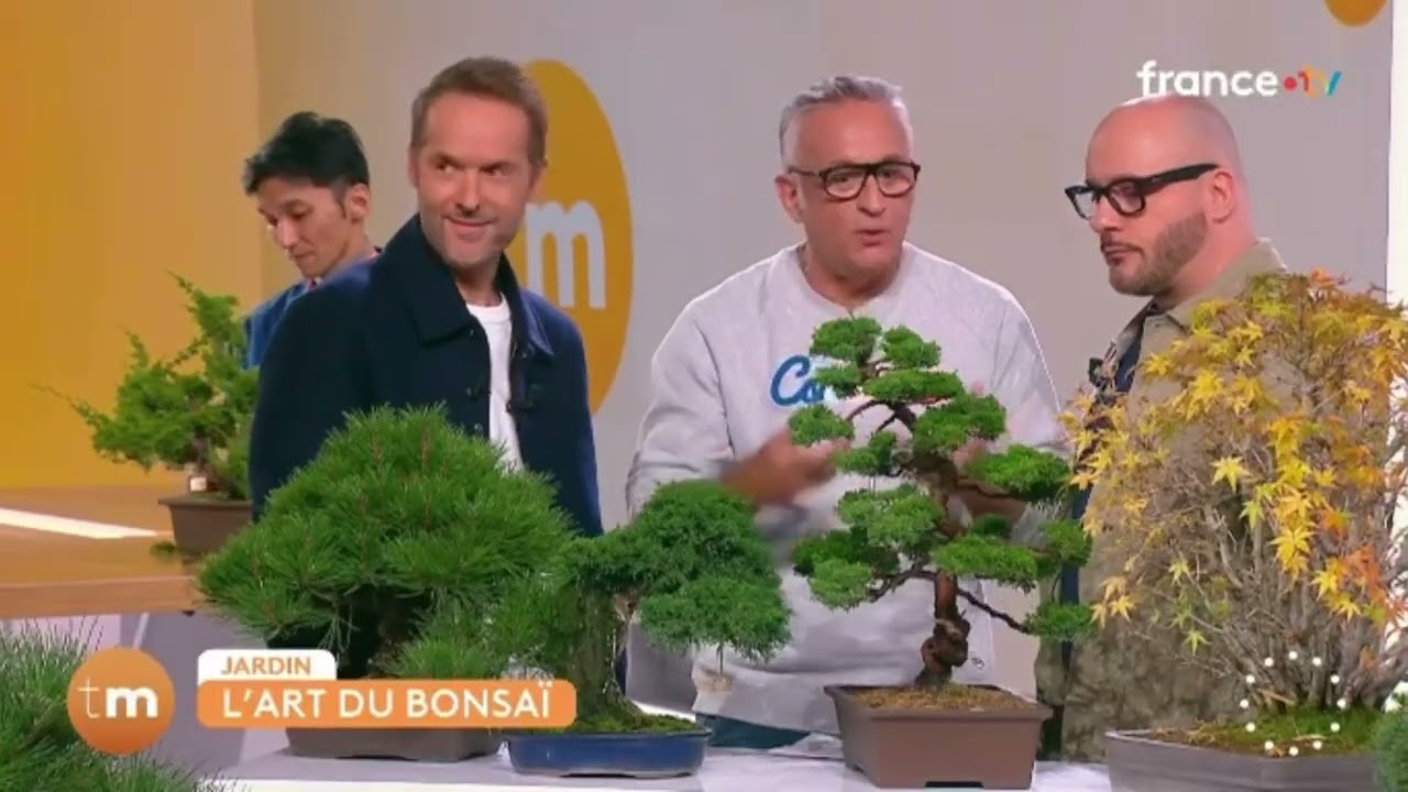 TELEMATIN X BONSAÏ CULTURE EXPO 