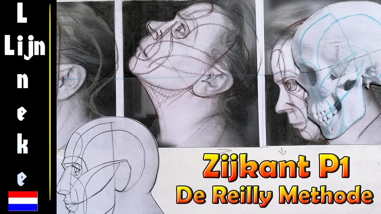Portret tekenen theorie  Reilly Methode Gezicht van de zijkant